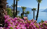 Blick auf den Lago Maggiore