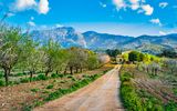Frühlingslandschaft auf Mallorca