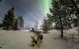 Nördliches Polarlicht - Aurora Borealis