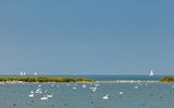 IJsselmeer