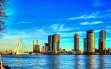 Rotterdam - Blick auf die Erasmusbrücke