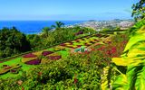 Botanischer Garten bei Funchal