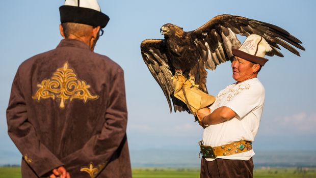Falkner mit Steinadler