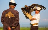 Falkner mit Steinadler
