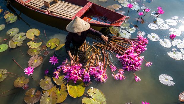 Yen Fluss in Vietnam