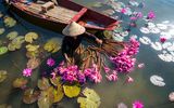 Yen Fluss in Vietnam