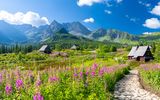 Hohe Tatra, Pfad mit blühenden Wiesen und Häuschen
