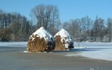 Spreewald Heuschober im Winter