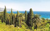 Botanischer_Garten_Hanbury_