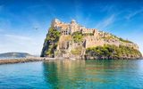 Möve jetet über Ischia