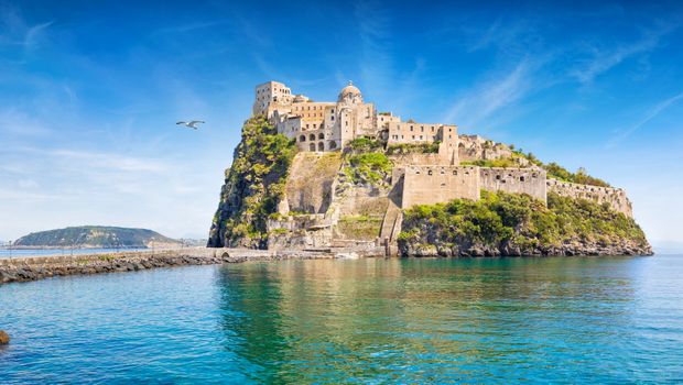 Möve jetet über Ischia