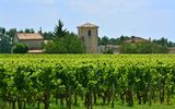 Saint-Émilion - Weinregion für Genießer