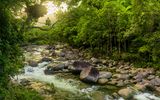 Mossman Gorge im Daintree Nationalpark