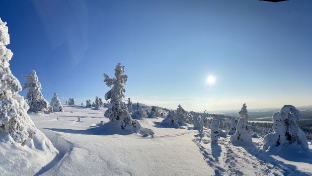 Panorama