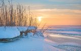 Ostfriesland im Winter
