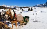 Pferdeschlitten auf der Seisser Alm