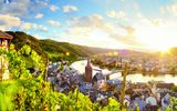 Bernkastel-Kues Weinberge Mosel