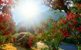 Der Tag erwacht auf Madeira