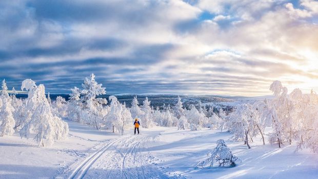 Langlauf in Lappland