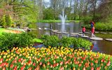 Keukenhof See