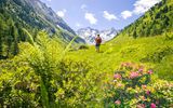 Wandern in den Zillertaler Alpen