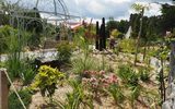 Brunnengarten