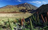Geheimnisvolles Teneriffa