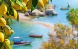 Sizilien, Bucht von Taormina mit Zitronen