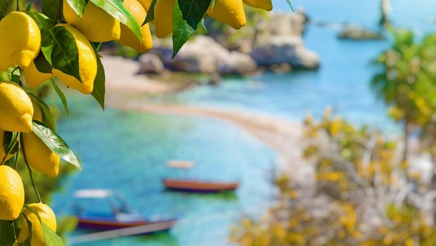 Sizilien, Bucht von Taormina mit Zitronen