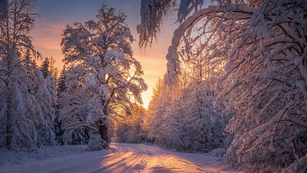Lahemaa Nationalpark im Winter
