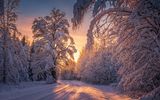 Lahemaa Nationalpark im Winter