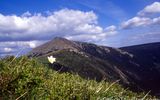 Riesengebirge Schneekoppe