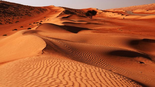 Sandwüste Wahiba im Oman