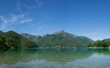 Ledrosee