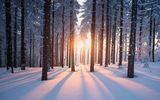 Thüringer Wald im Winter