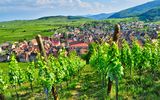 Riquewihr in Alsace
