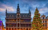 Brüssel, Weihnachtsbaum auf dem Grote Markt