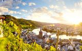 Bernkastel-Kues und Weinberge entlang der Mosel