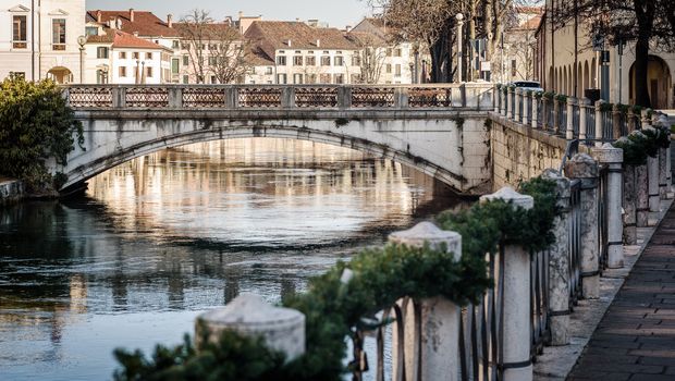 Treviso
