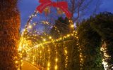 Der goldene Lichtertunnel in Kittenberg