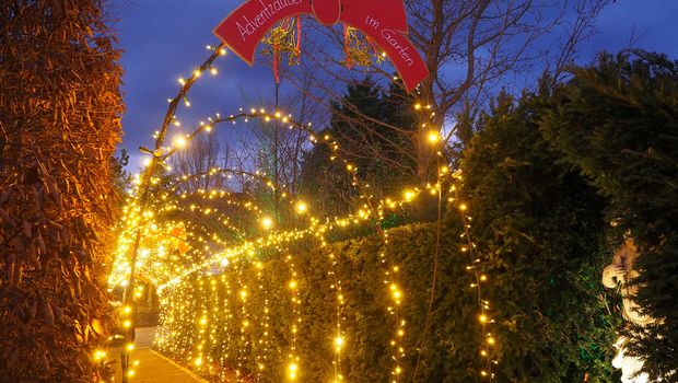  Der goldene Lichtertunnel in Kittenberg