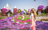 Miracle Garden