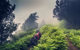 Anaga Wanderung