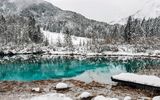 Zelenci Quelle