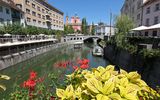 Ljubljanica Flussimpression