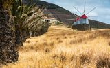 Windmühlen auf Porto Santo