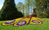 Blumentiere auf Insel Mainau
