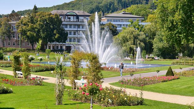 Rosengarten in Bad Kissingen