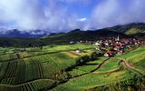Landschaft im Elsass