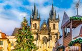 Prag Weihnachtsbaum